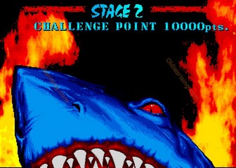 image de The First Funky Fighter